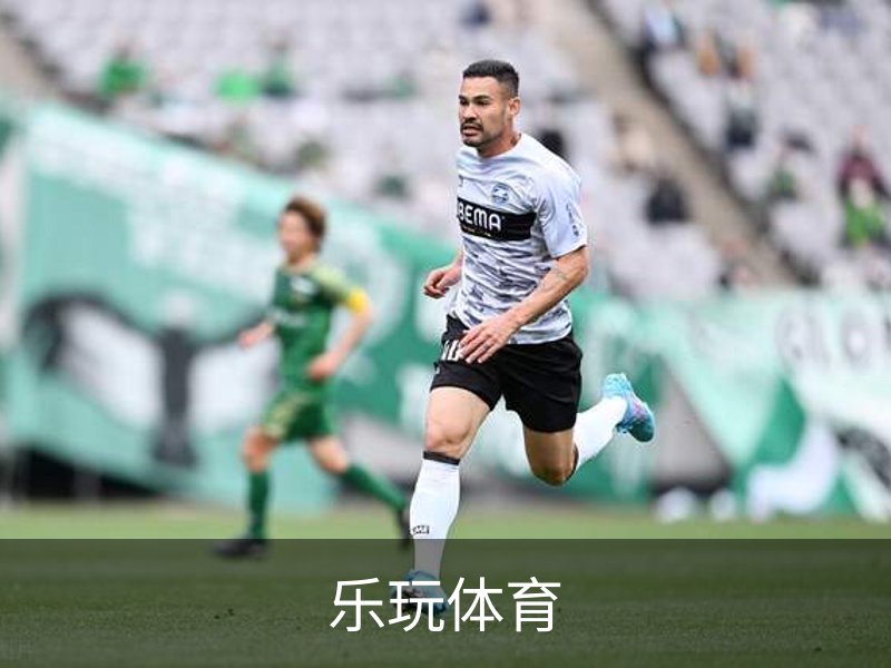乐玩体育简介